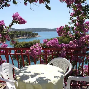 Ana Apartman